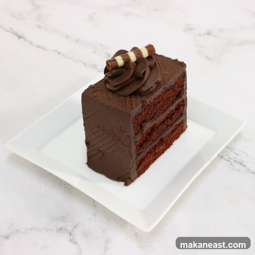 Chocolate Cake Slice