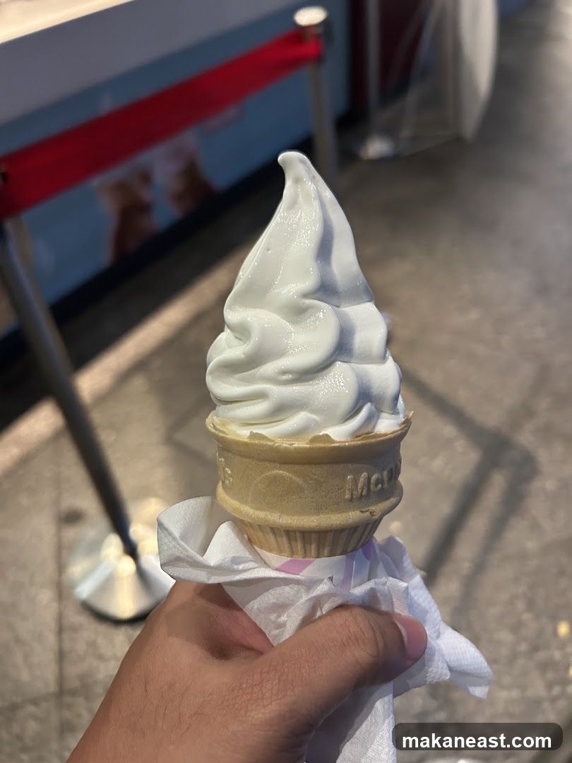 Soft Serve Ice Cream Cone