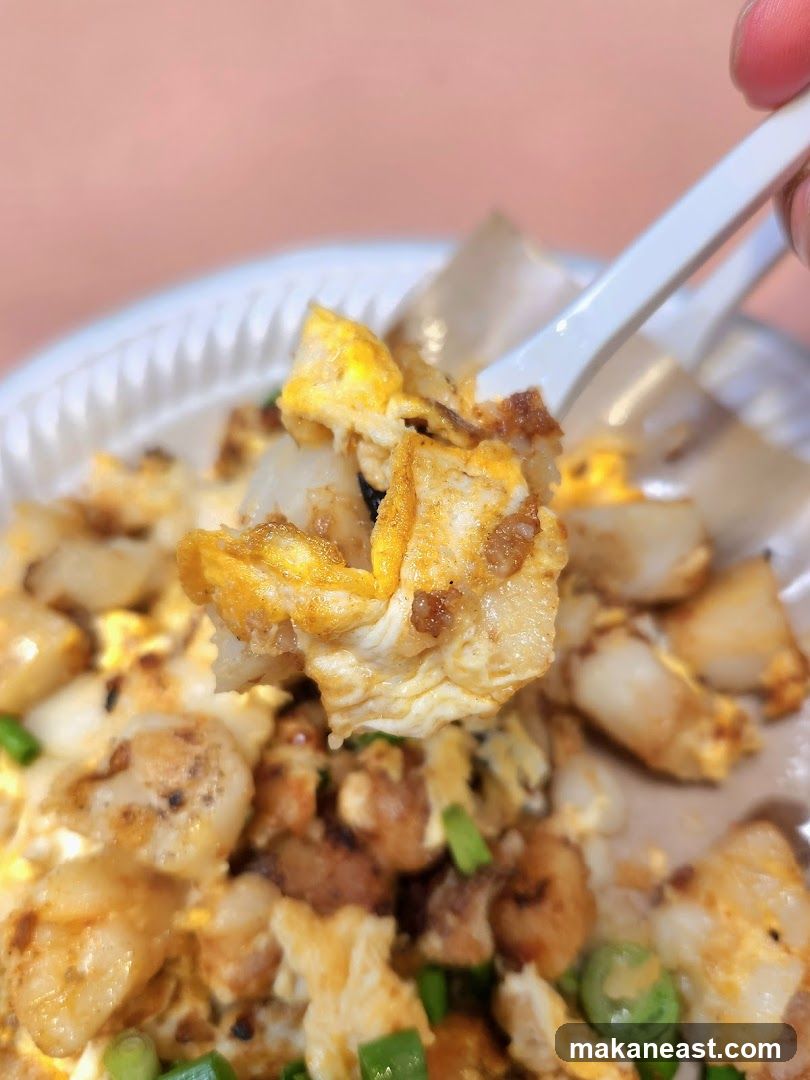 Fried Radish Cake with Egg and Scallions