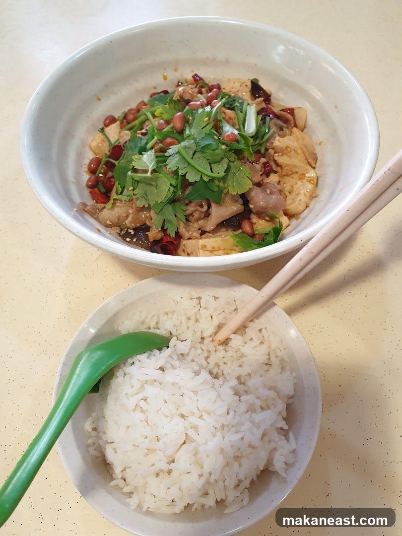 Spicy Tofu and Meat Dish with Rice