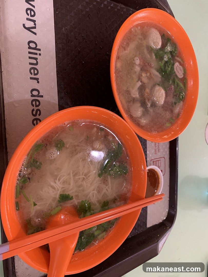 Two bowls of noodle soup