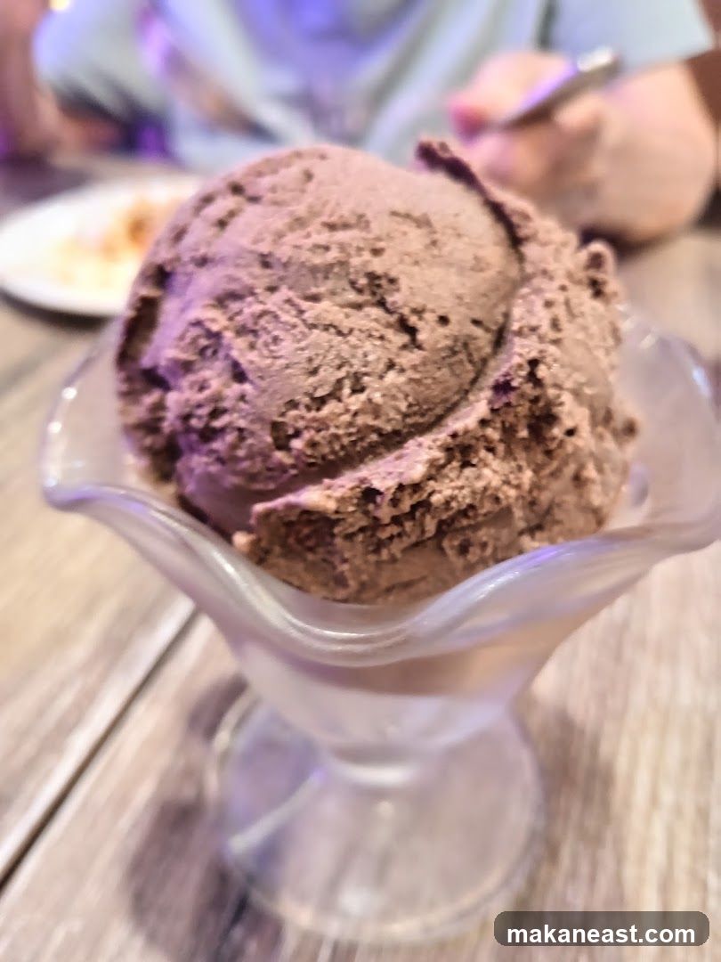 Chocolate Ice Cream Sundae