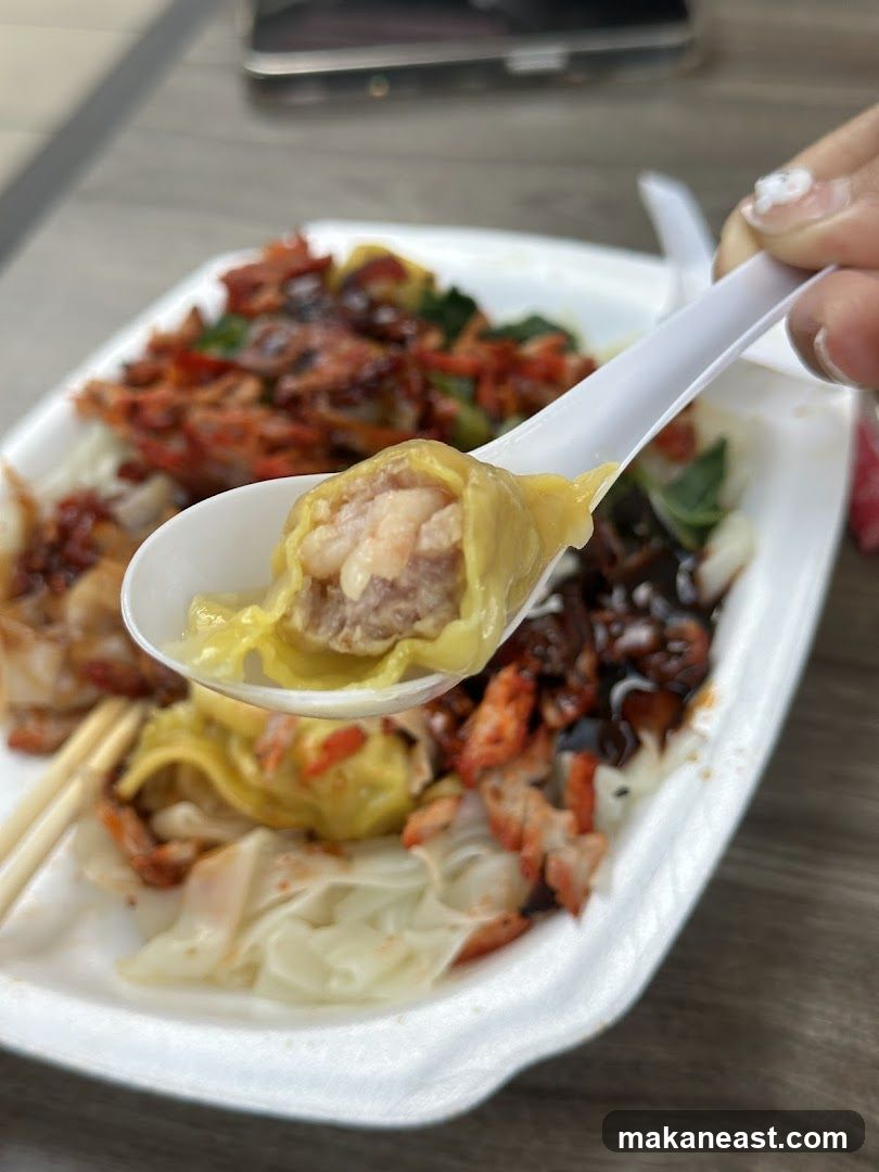 Close-up of a Spoonful of Wontons and Roasted Meat