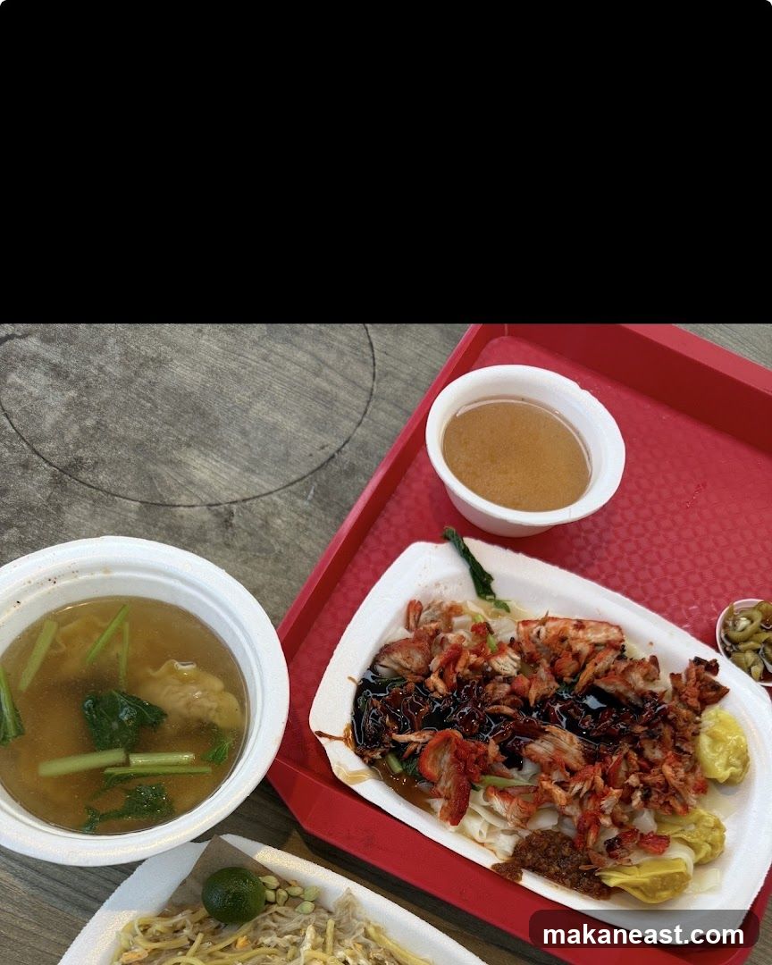 Char Siu Noodles with Wonton Soup