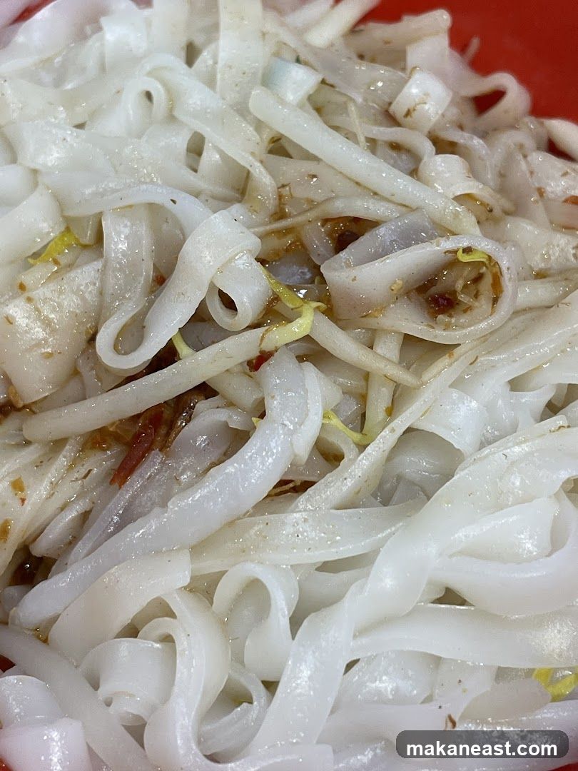 Noodles with Sprouts