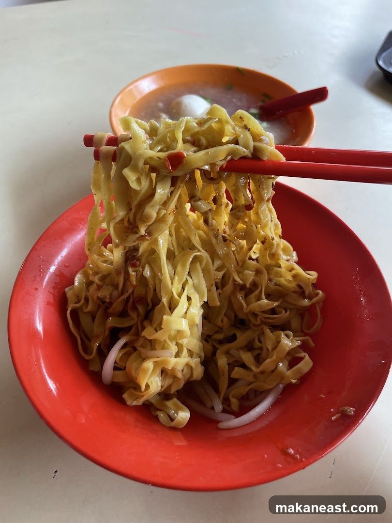 Noodles with Broth