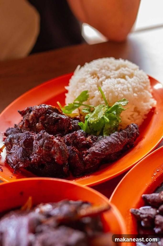 Braised Meat with Rice