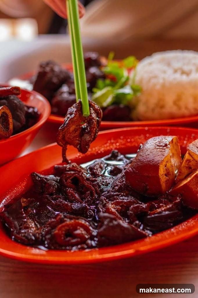 Braised Meat Dish