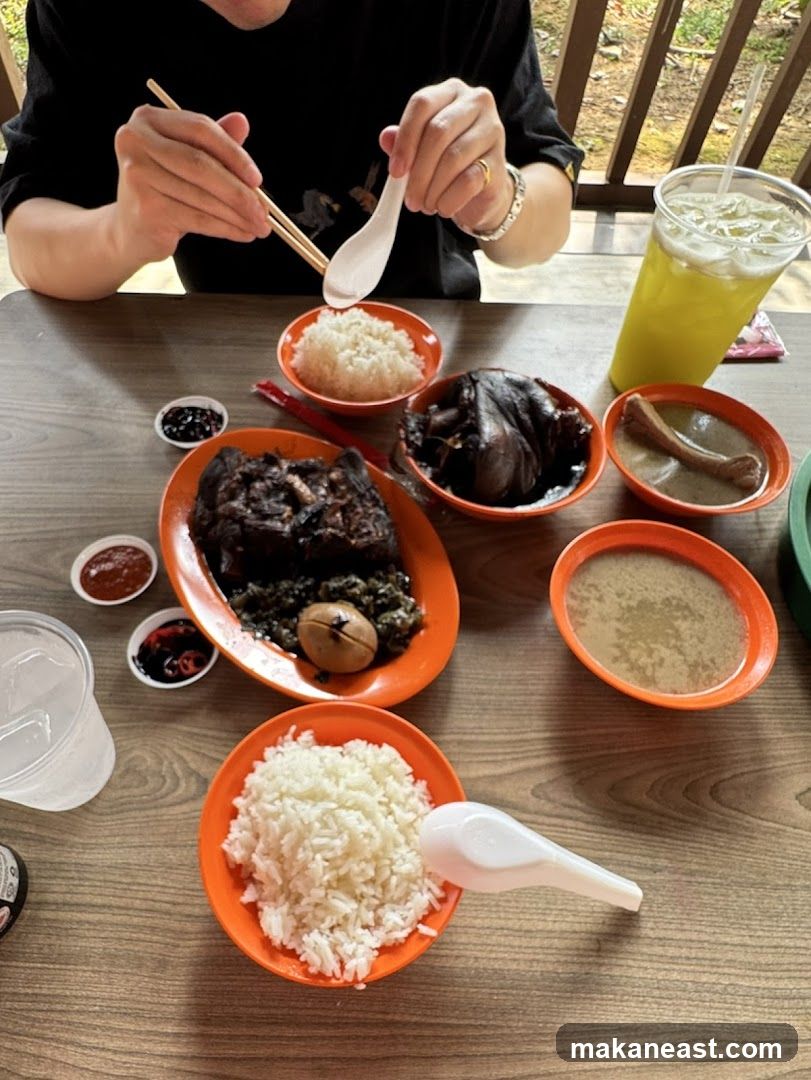Meal with Rice and Braised Meats