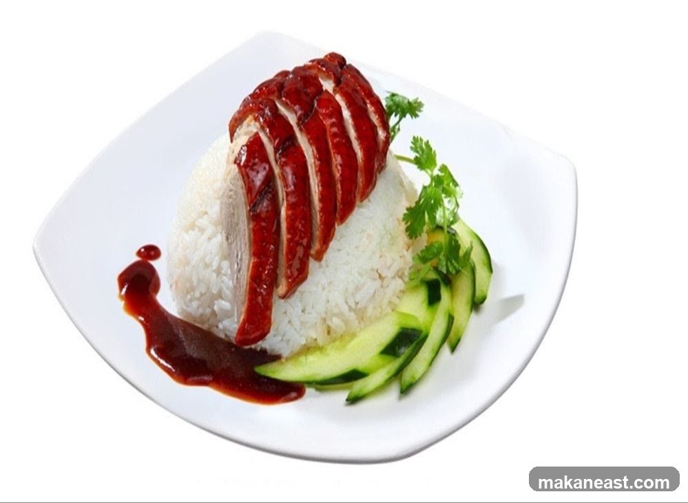 Roast Duck Rice