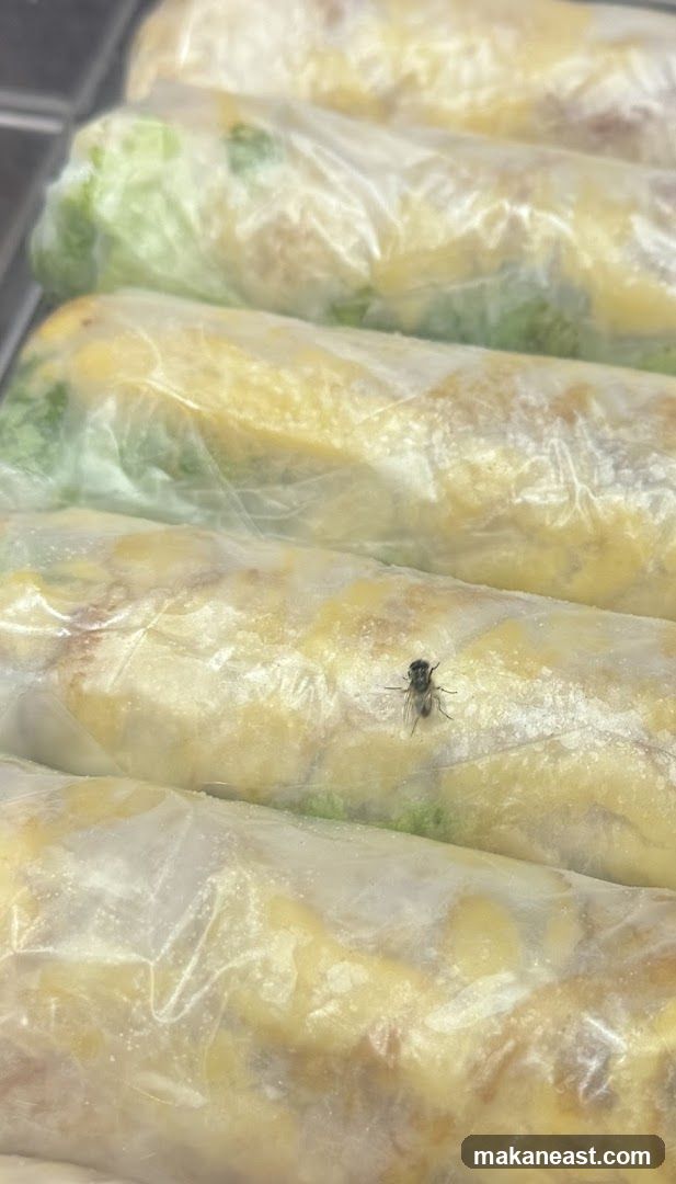 Fresh Spring Rolls with a Fly
