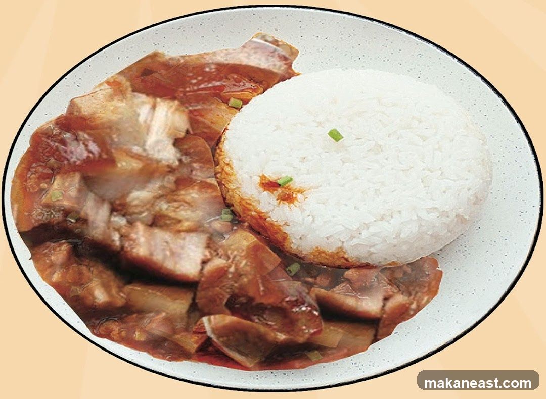 Pork Belly with Rice