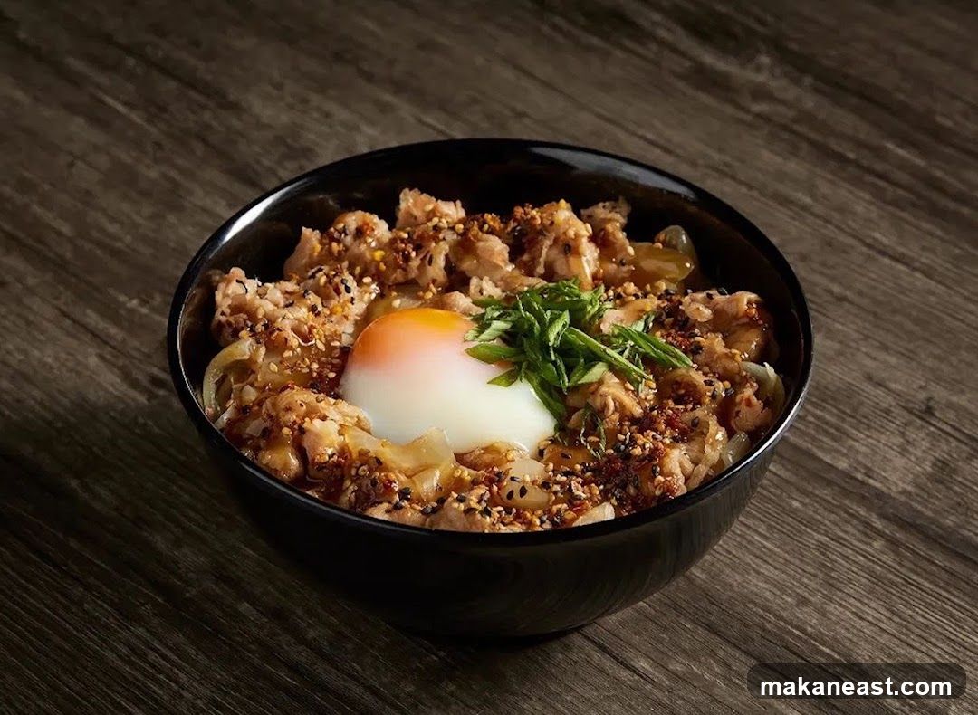Bowl of Rice with Meat and Egg