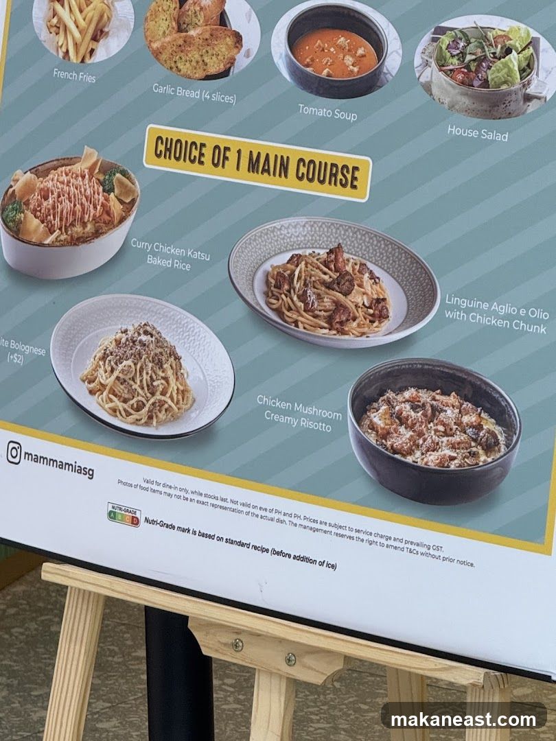 Choice of 1 Main Course