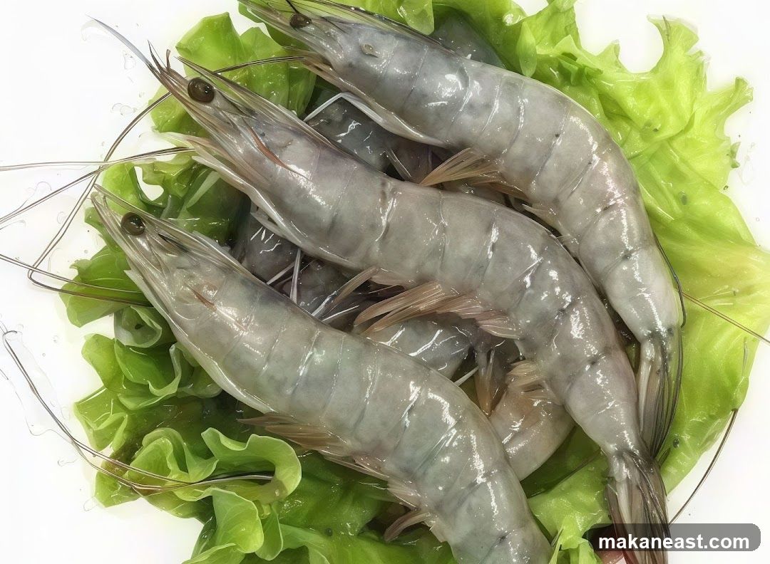 Fresh Shrimp on Lettuce
