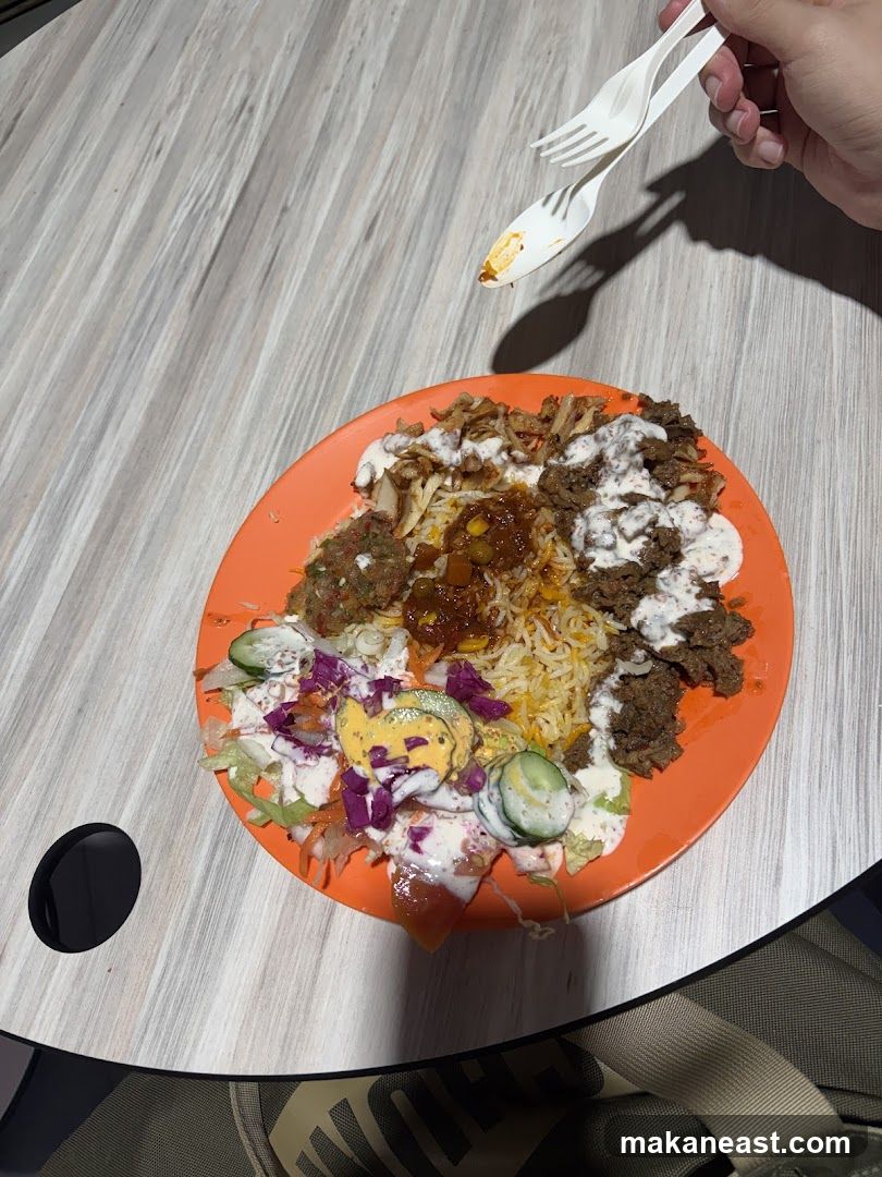 Plate of Rice with Meat and Salad