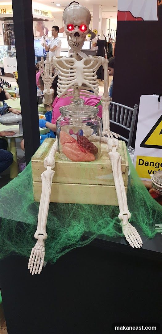 Skeleton prop with jar of organs