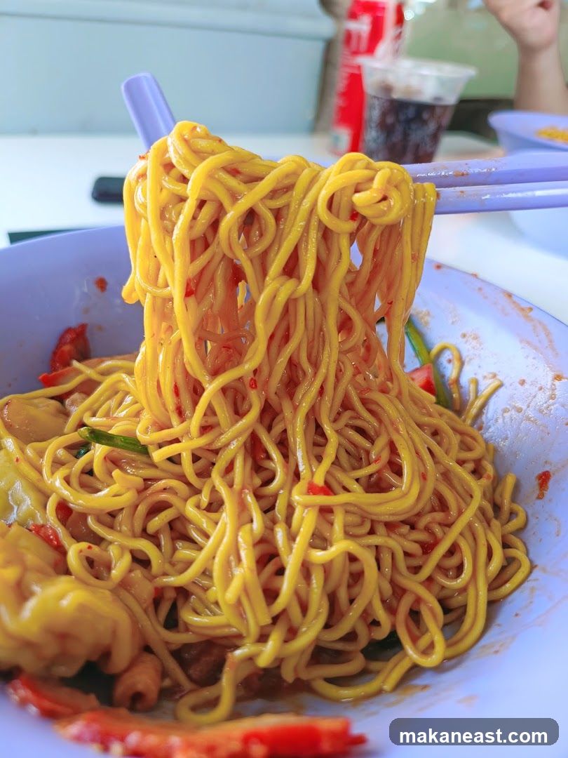 Noodles with Wontons
