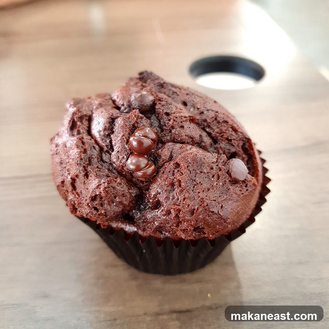 Chocolate Chip Muffin