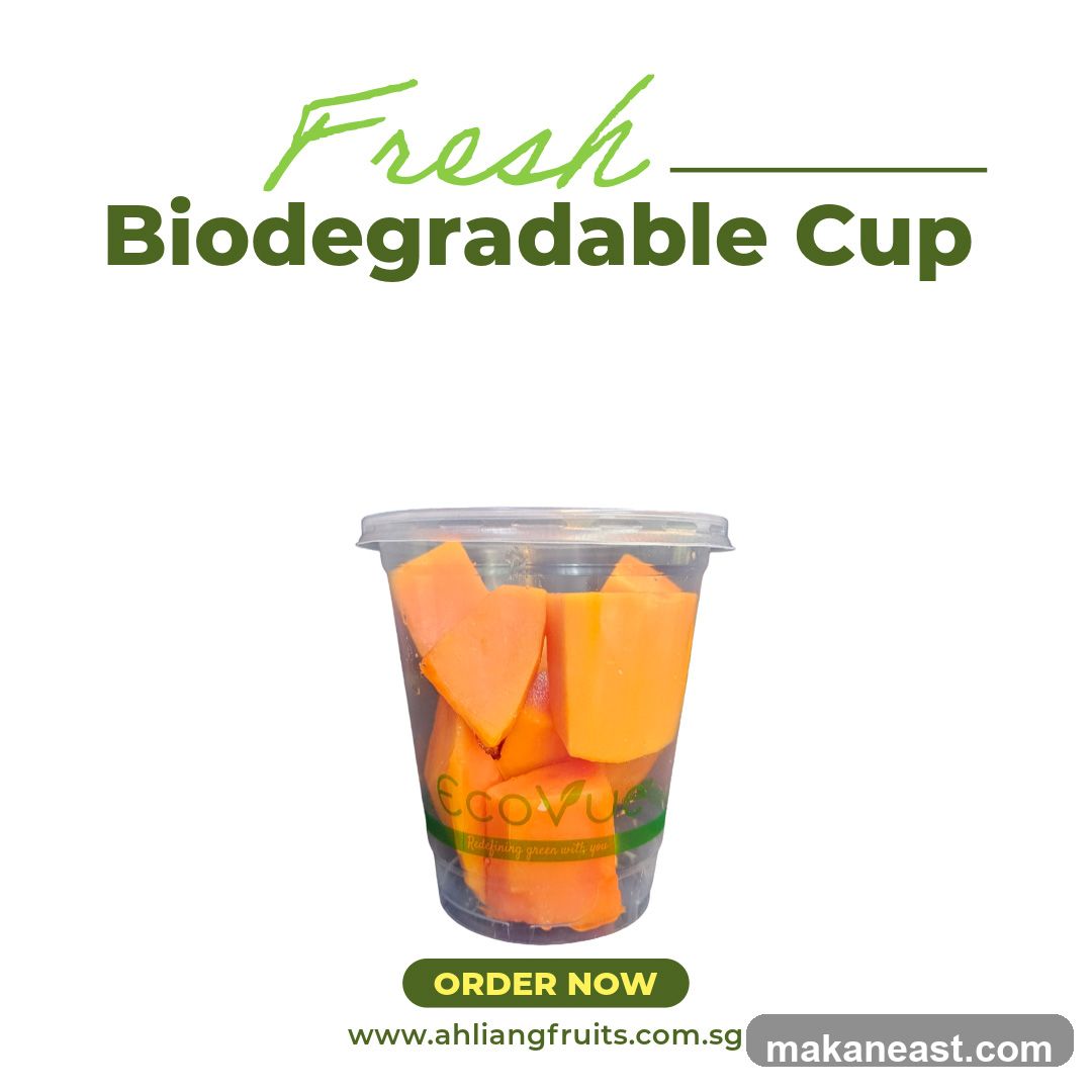 Fresh Biodegradable Cup