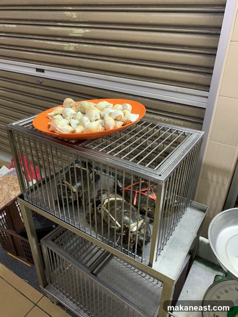 Live crabs and shells for sale