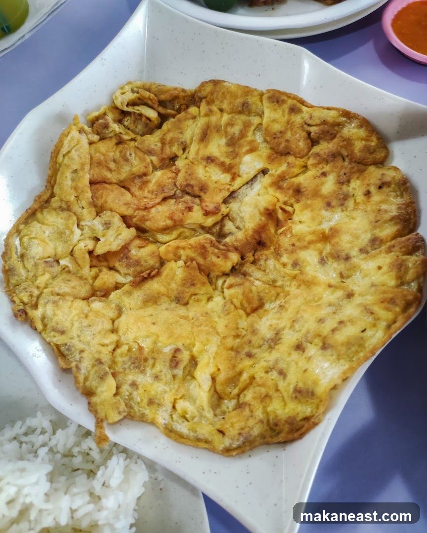 Omelette with Rice