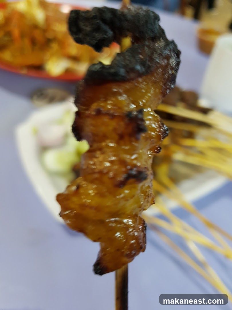 Close-up of Satay Skewer