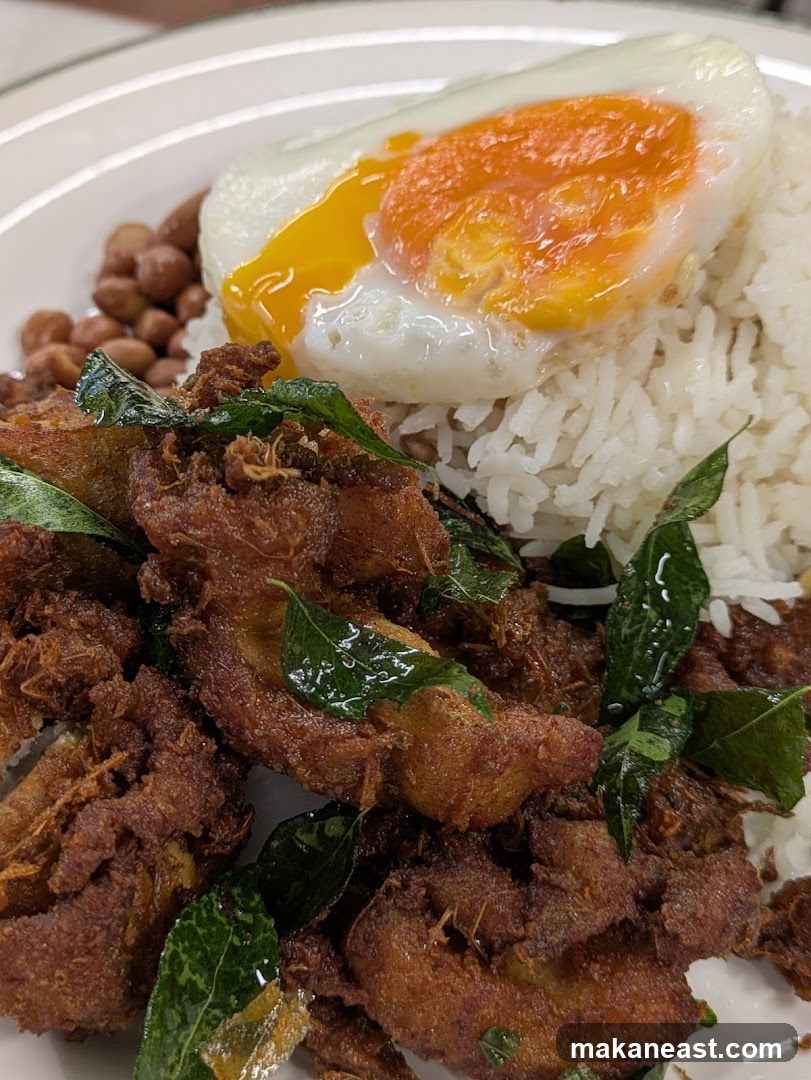 Fried Chicken with Rice and Egg