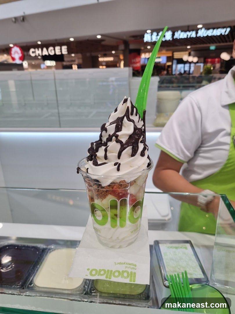 Frozen Yogurt with Chocolate Drizzle