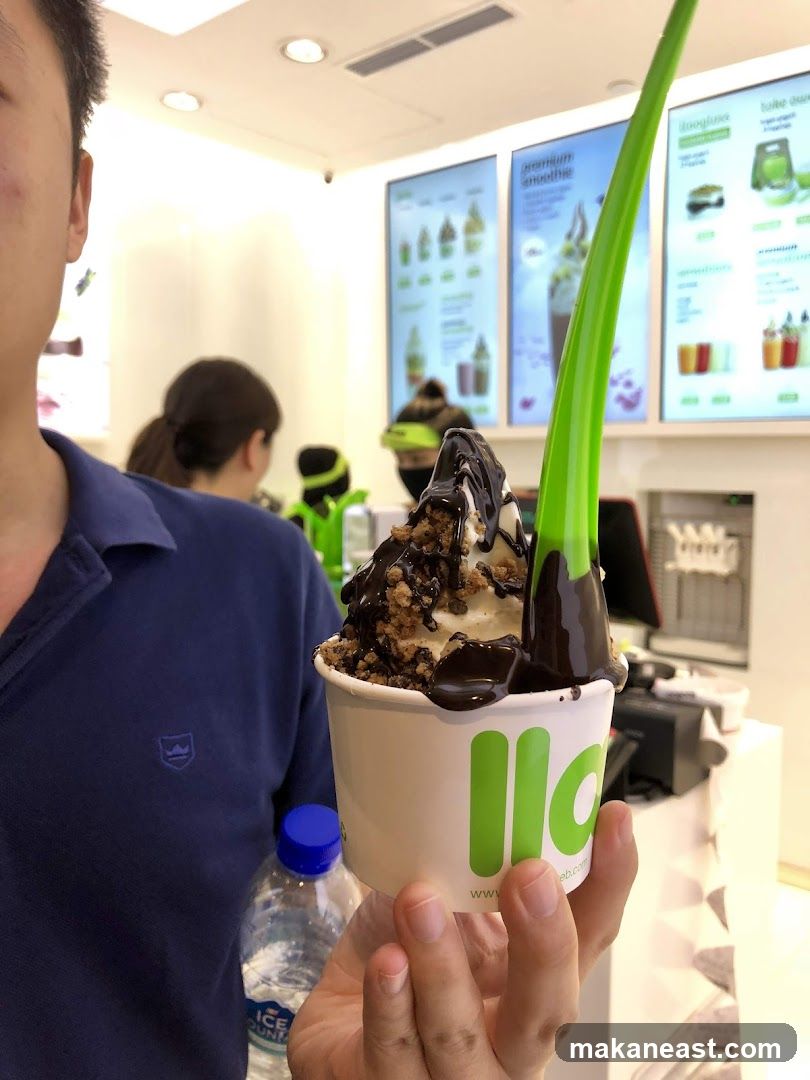 Frozen Yogurt with Chocolate Topping