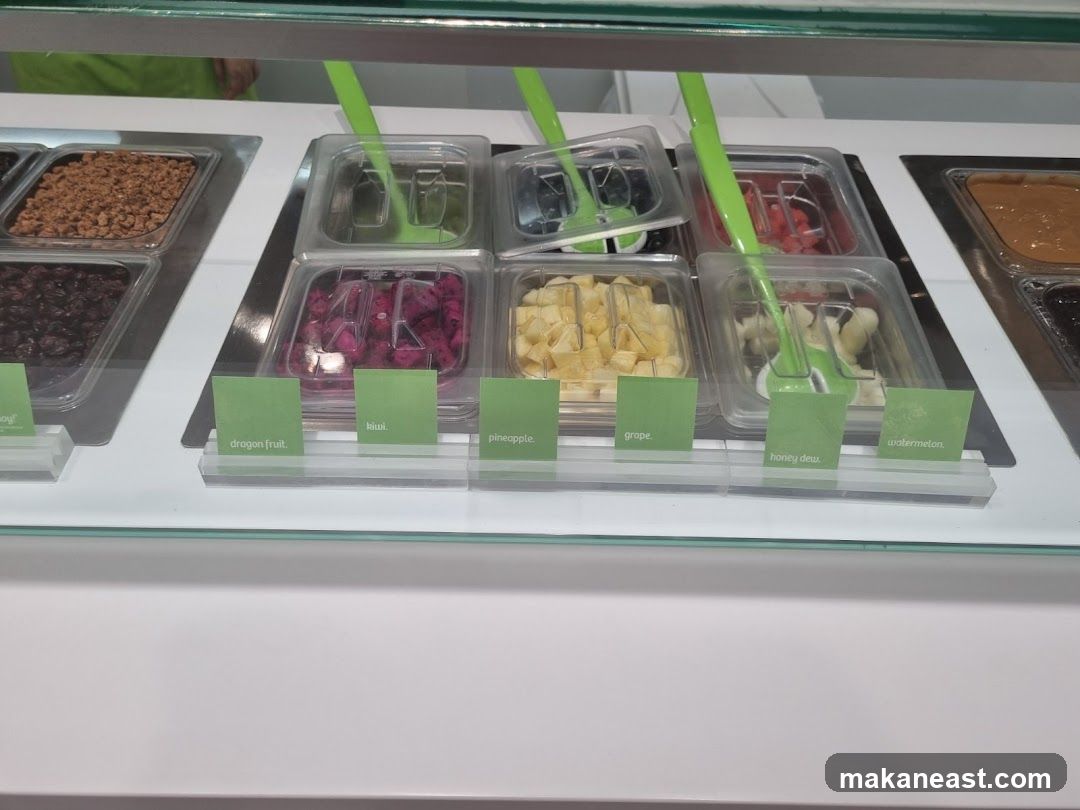 Frozen Yogurt Toppings