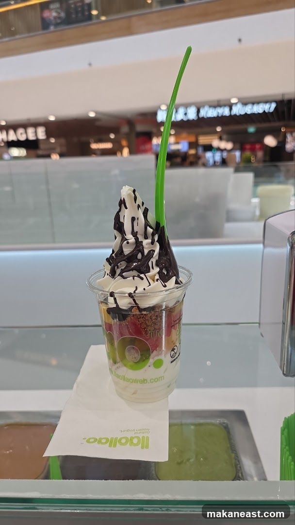 Frozen Yogurt with Chocolate Drizzle