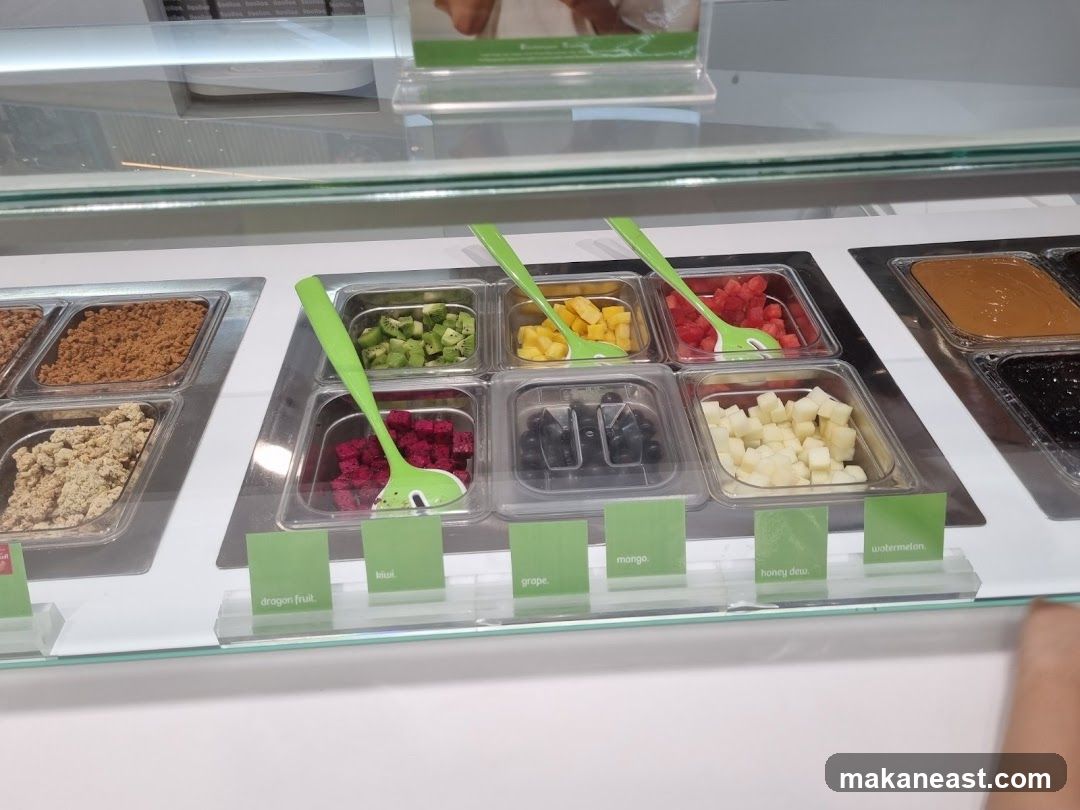 Frozen Yogurt Toppings