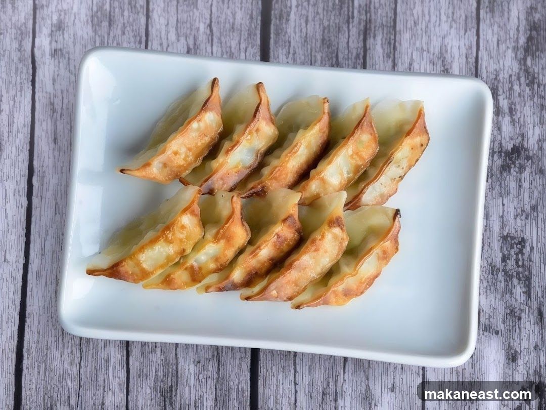 Pan-fried dumplings