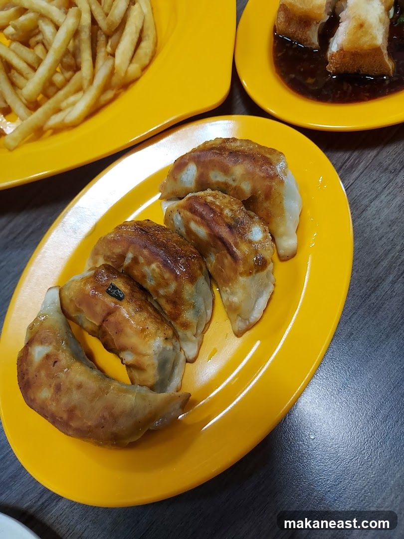 Fried Dumplings and Fries