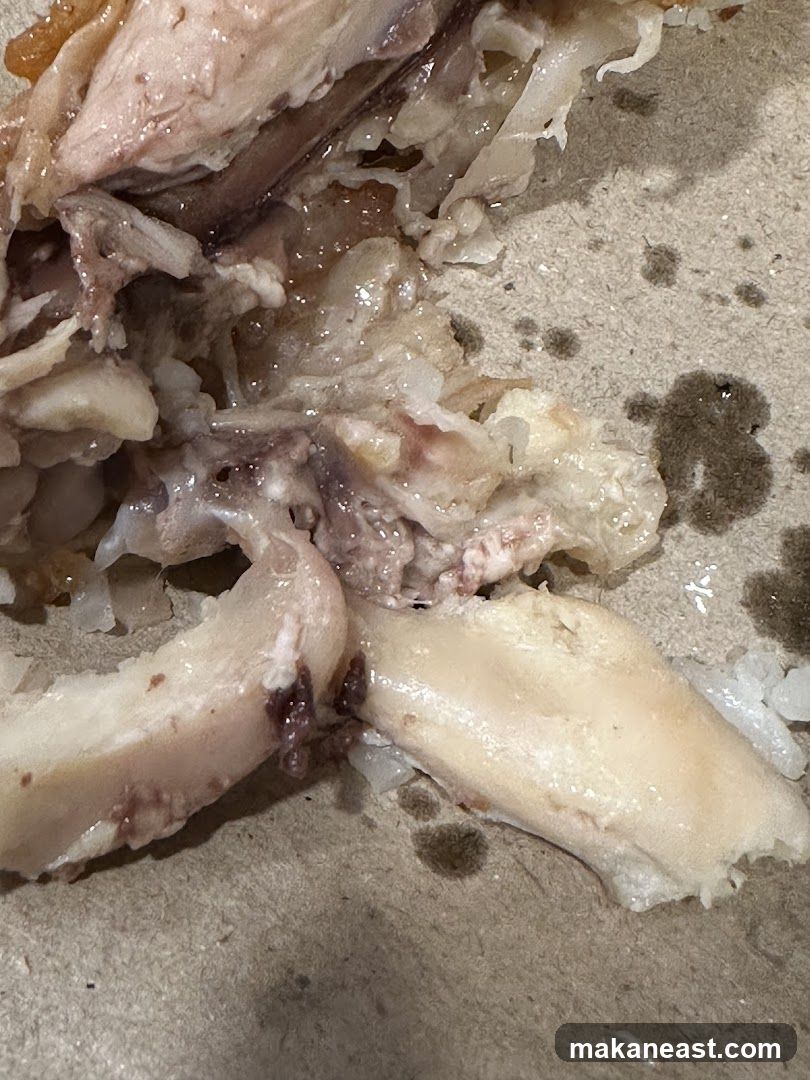 Cooked Chicken Bones and Rice
