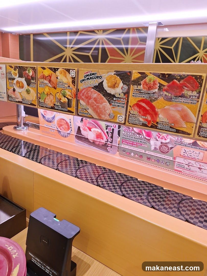 Sushi Conveyor Belt Display