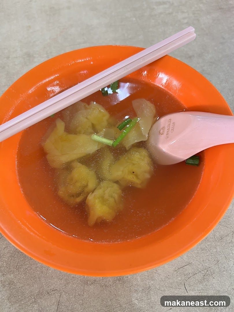 Wonton Soup