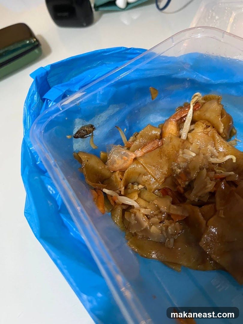 Food with insect