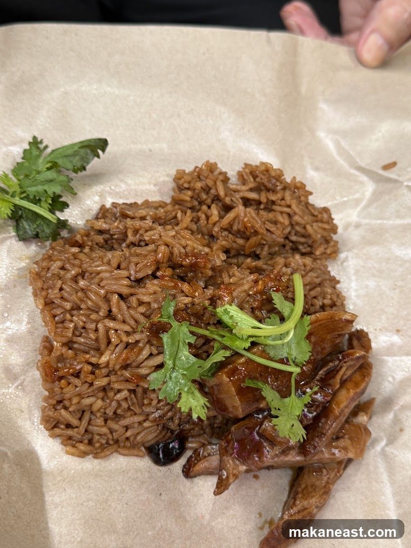Braised Duck Rice
