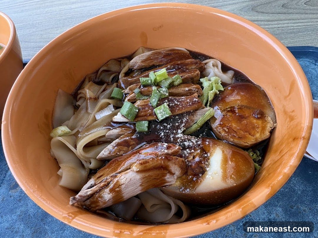 Braised Duck Noodles