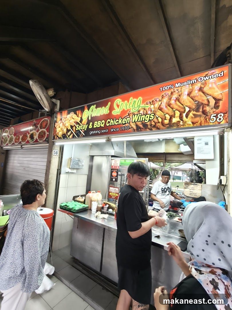 Ahmad Spring Satay & BBQ Chicken Wings
