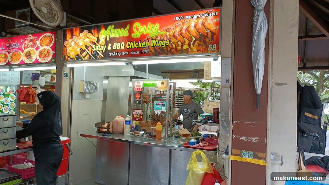Ahmad Spring Satay & BBQ Chicken Wings