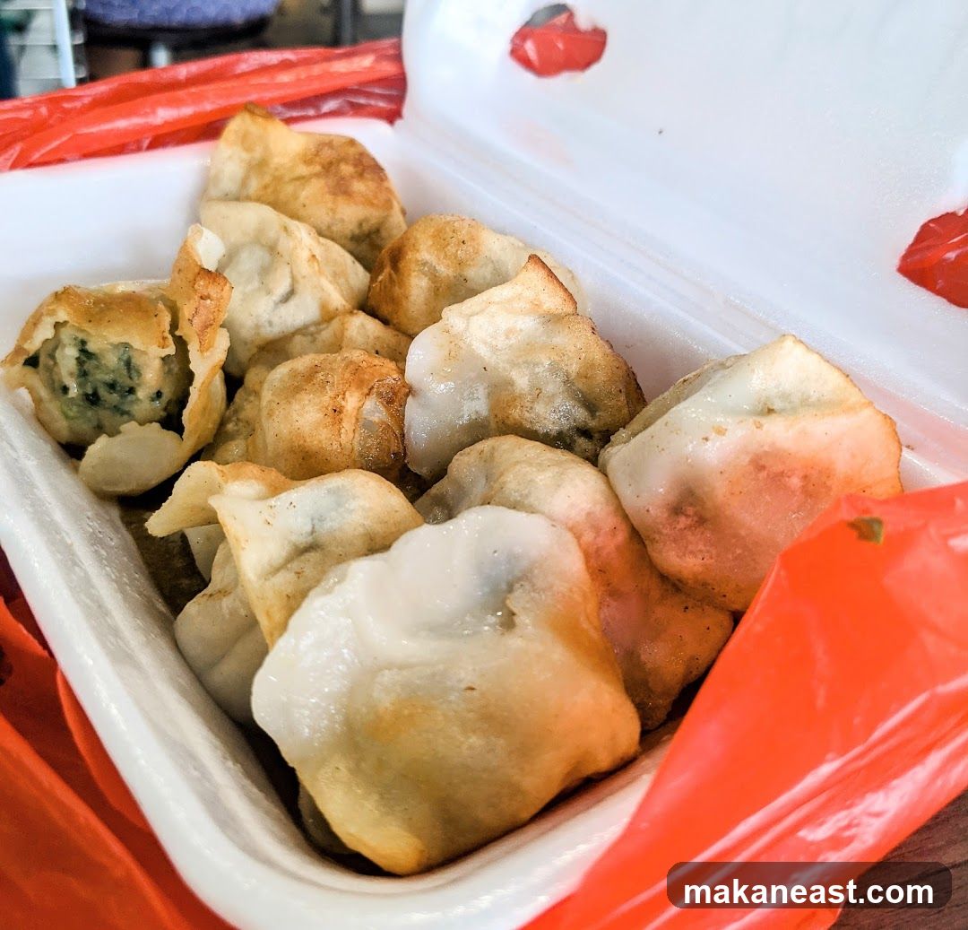 Fried Dumplings