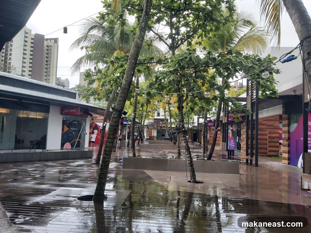 Outdoor shopping area with trees and wet pavement