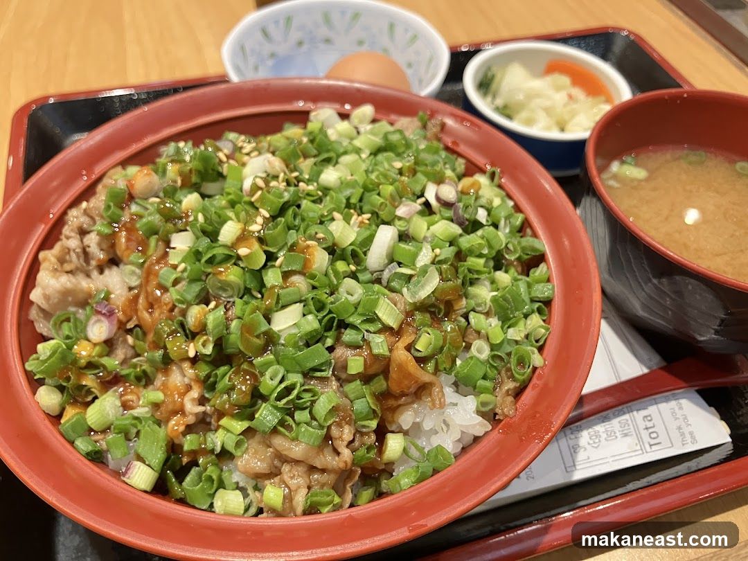 Beef Bowl with Scallions and Miso Soup