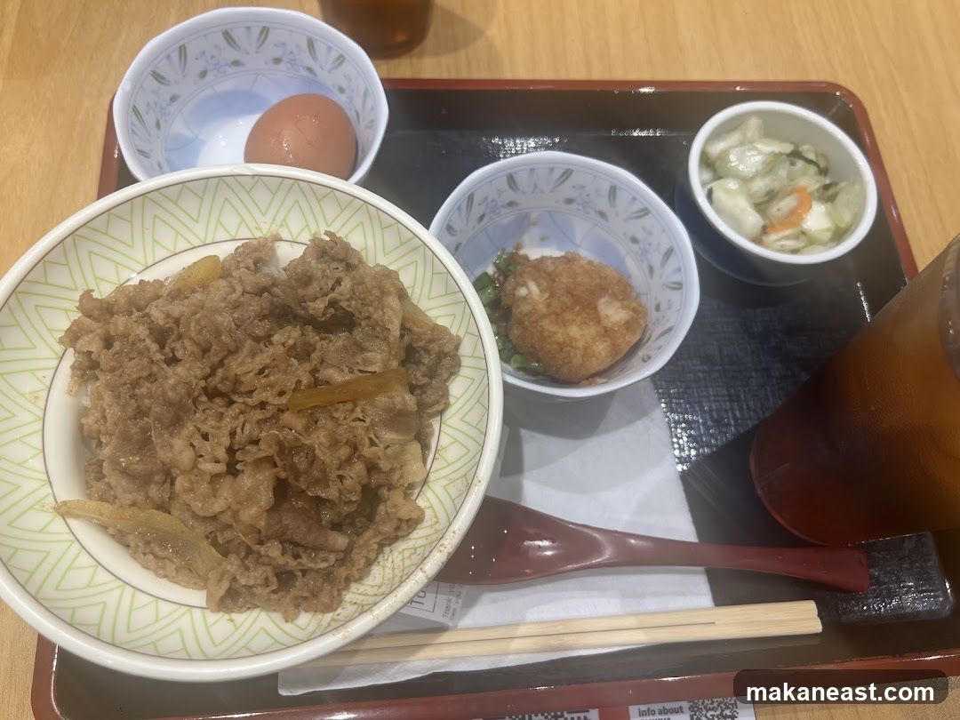 Beef Bowl Meal