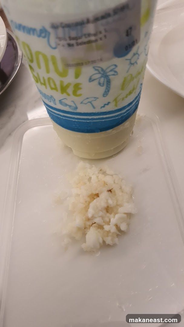 Coconut Shake Cup and Toppings