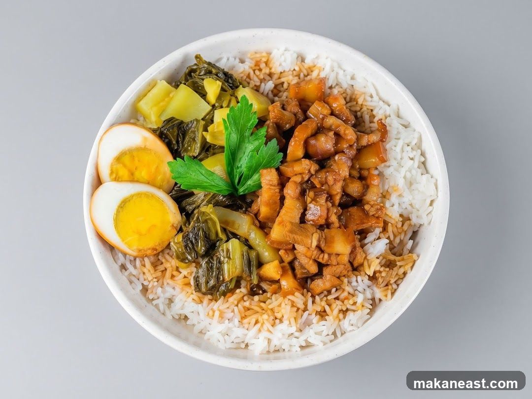 Braised Pork Rice Bowl