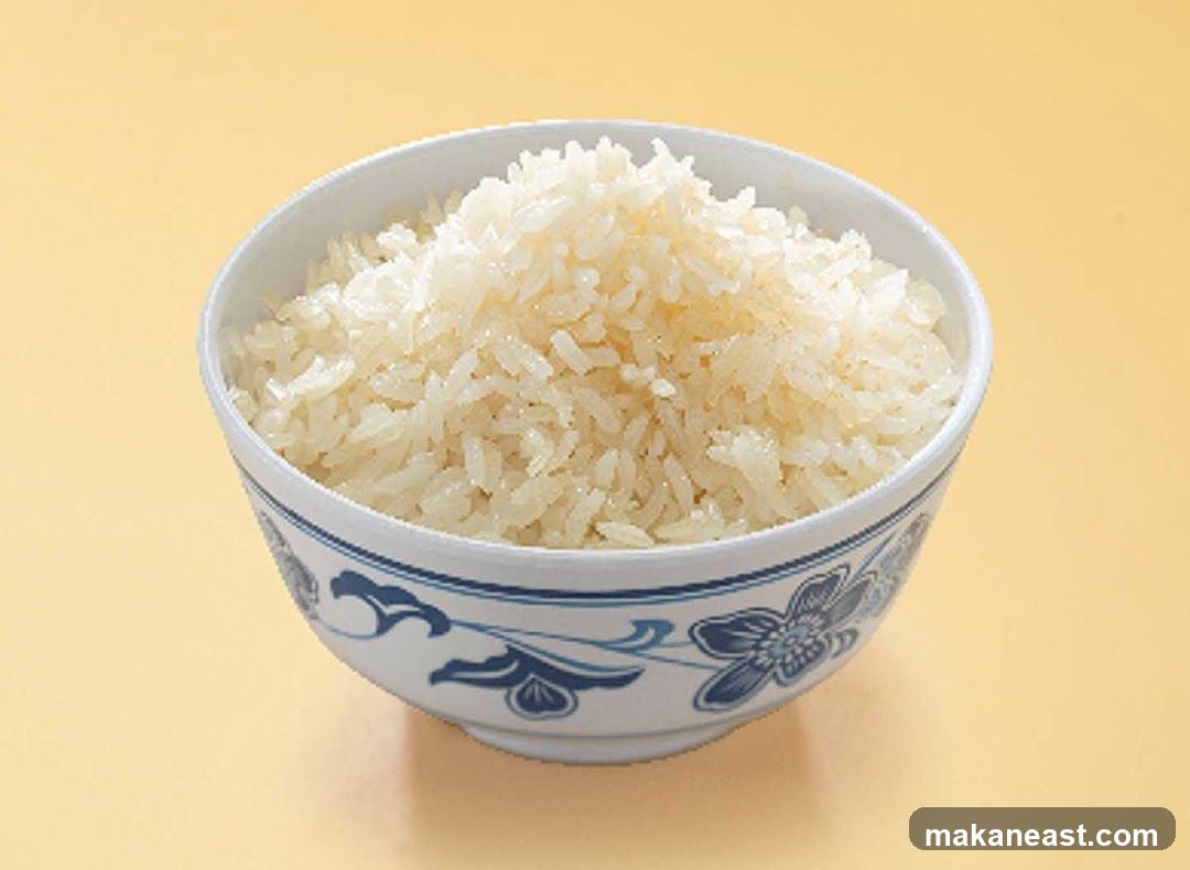 Bowl of Rice